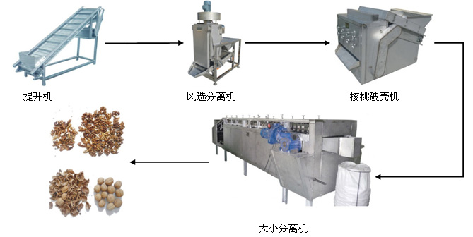 核桃仁破殼取仁生產線